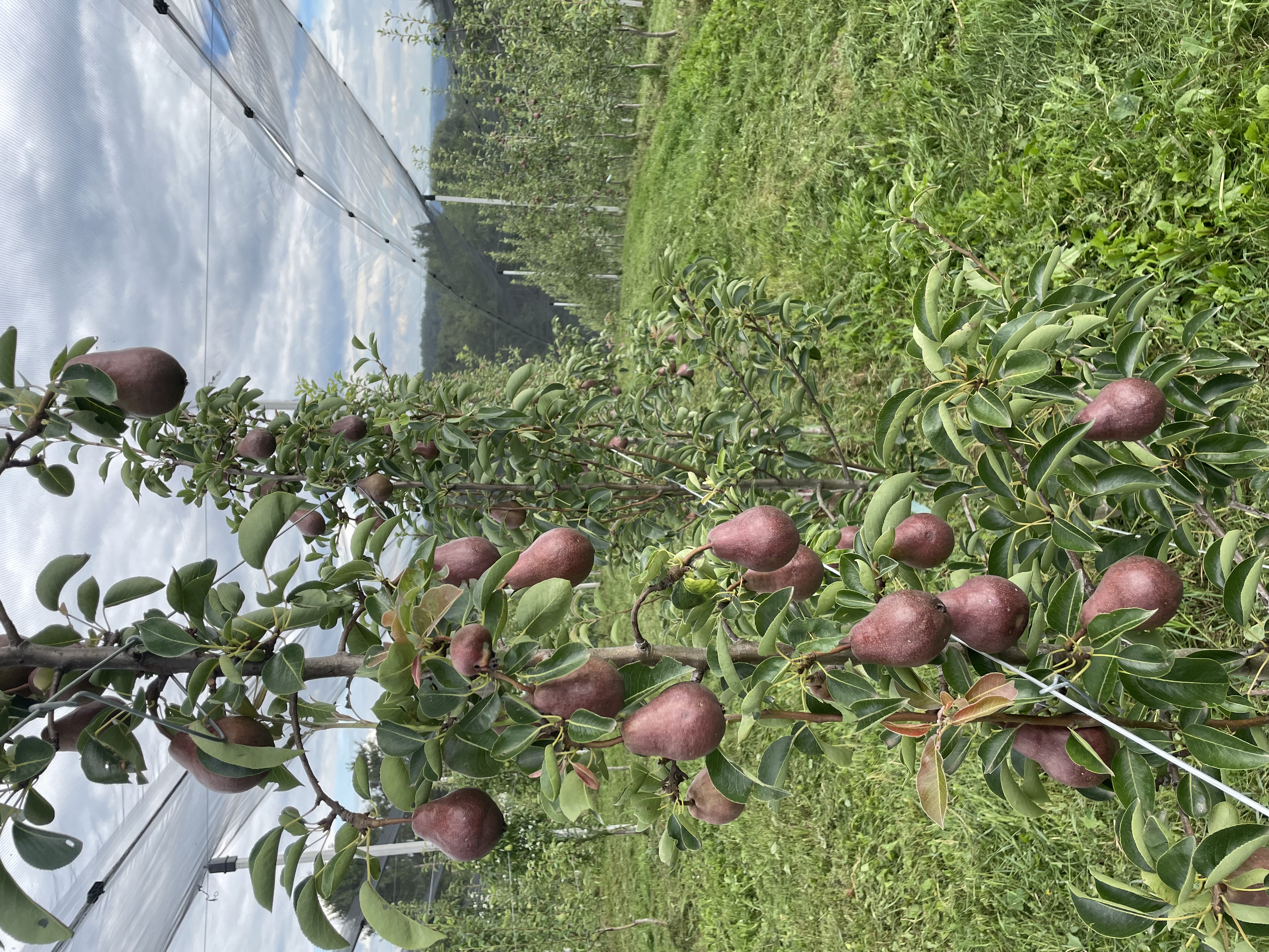 Familie & Geschichte – Bild 1