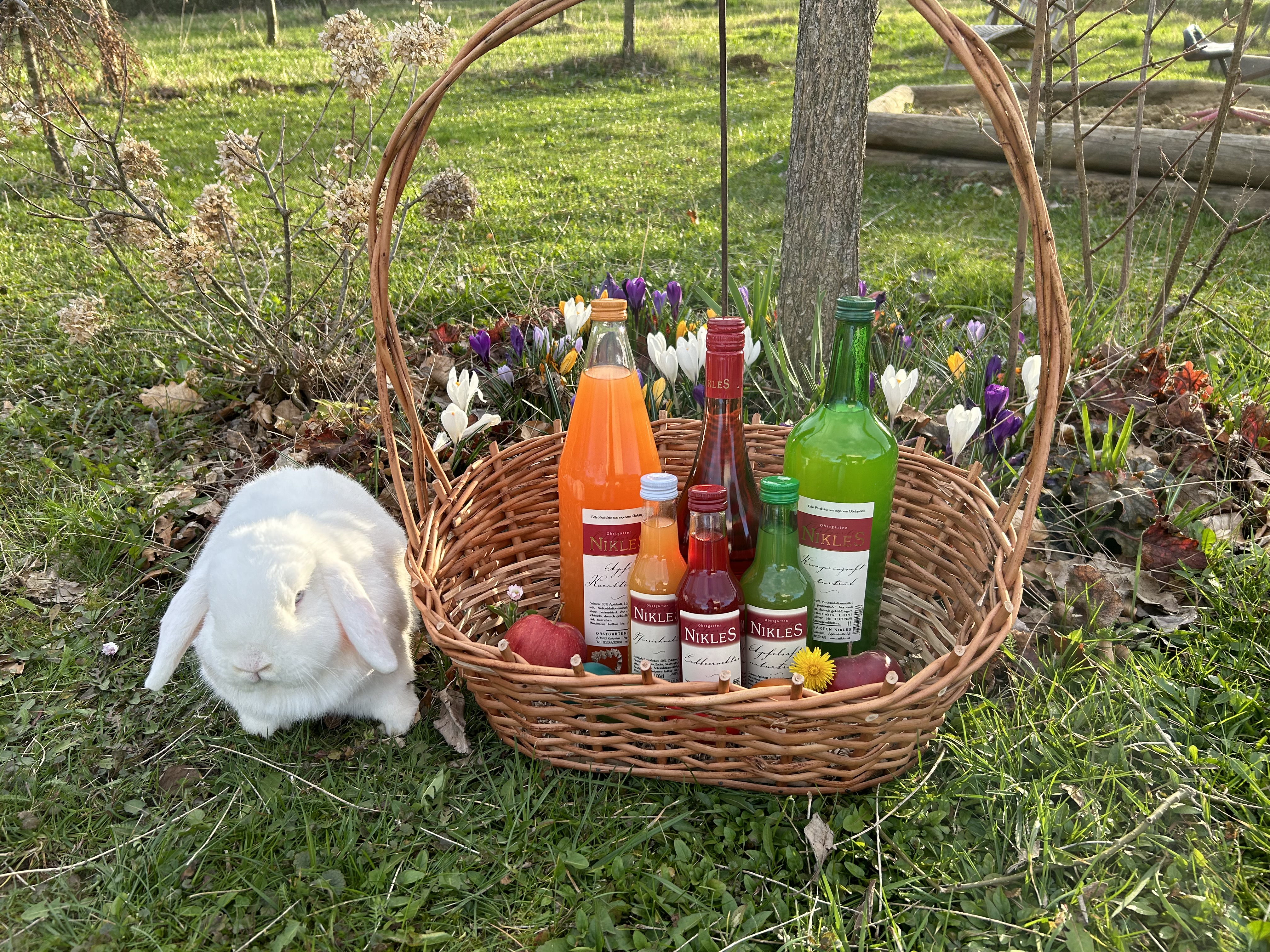 Familie & Geschichte – Bild 3