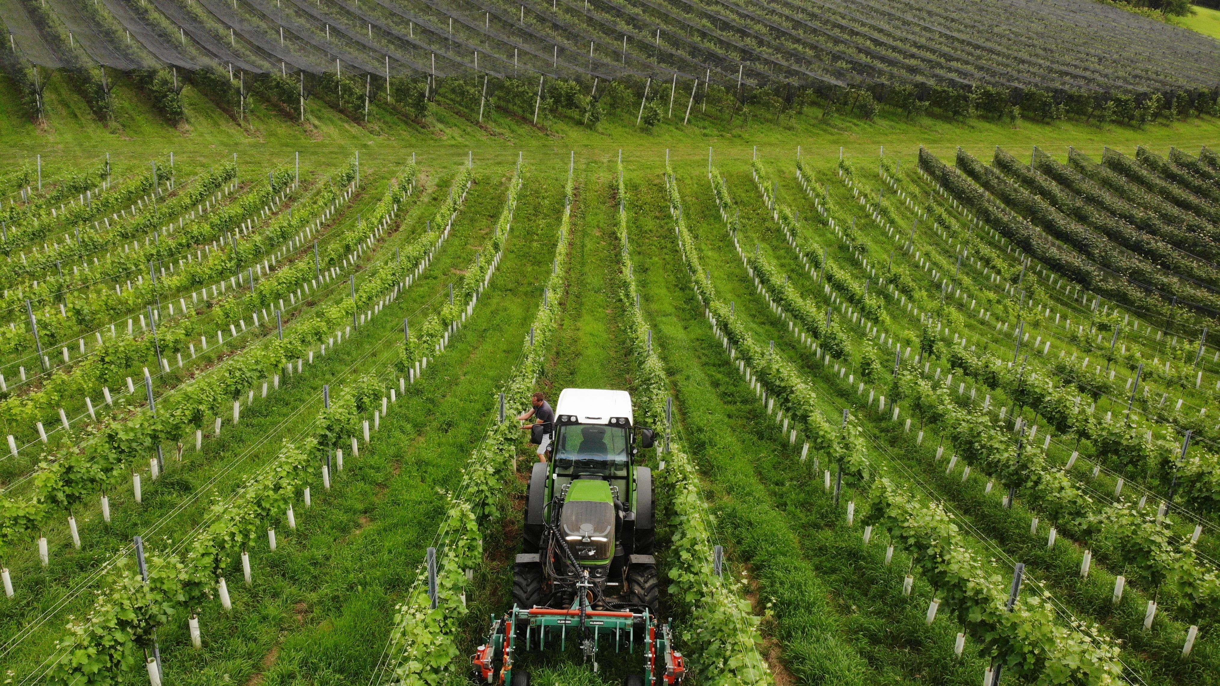 Obstgarten – bewusst Eigenanbau