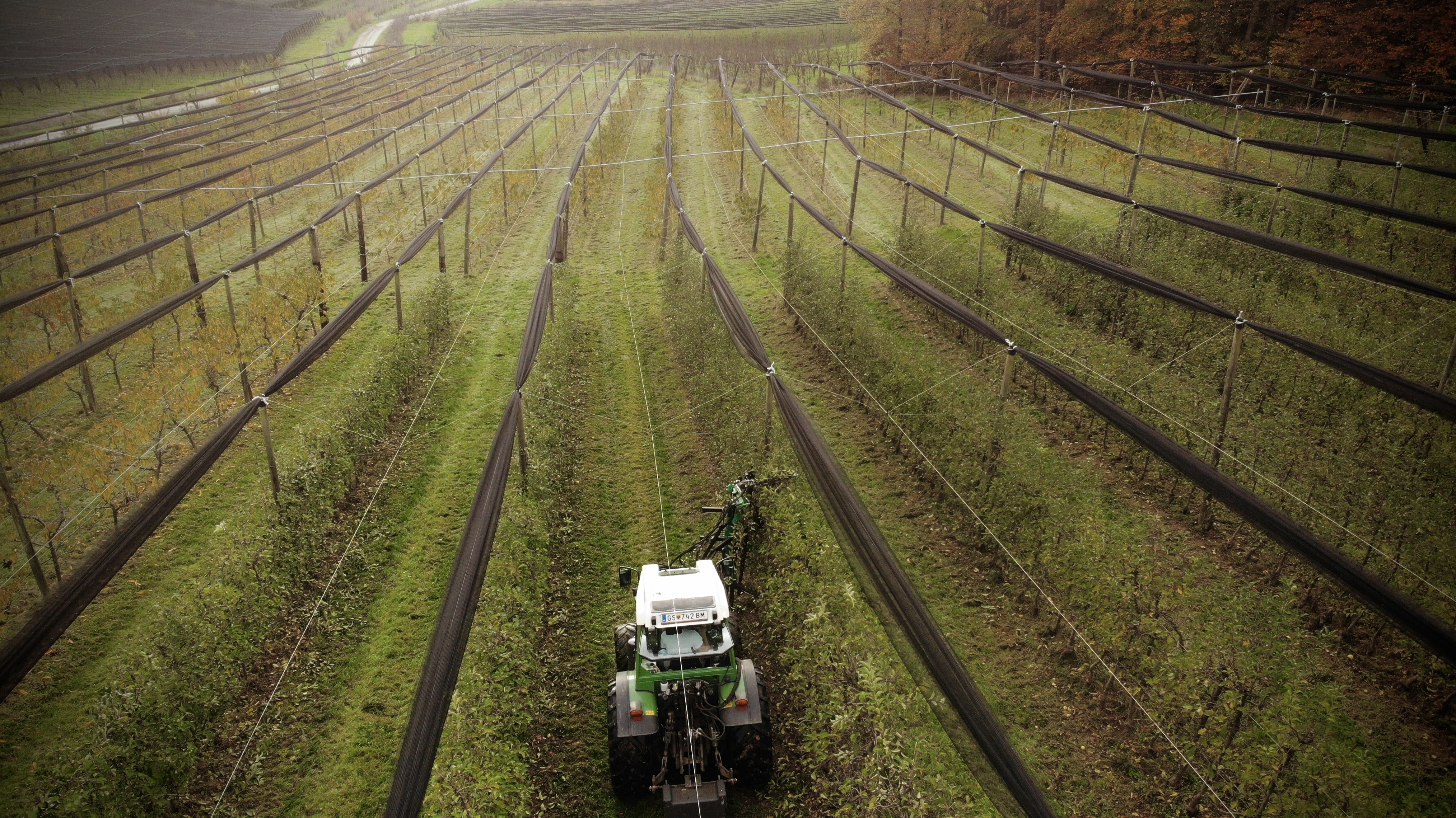 Weinberge und Landschaft